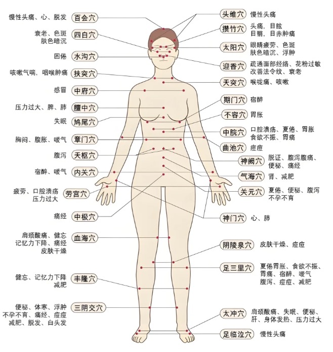 穴位图3